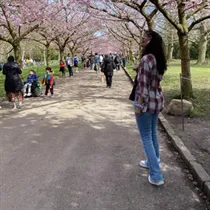 Jeg søger: lejlighed eller værelse til leje i Vesterbro, Frederiksberg eller Østerbro m.fl. 